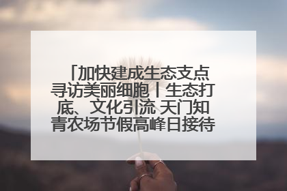 加快建成生态支点 寻访美丽细胞丨生态打底、文化引流 天门知青农场节假高峰日接待游客2万人次