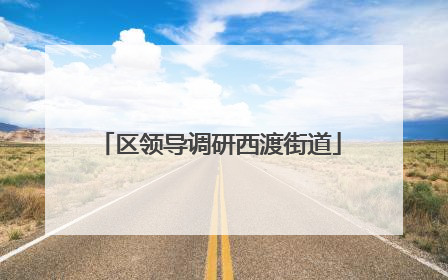 区领导调研西渡街道