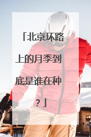 北京环路上的月季到底是谁在种？