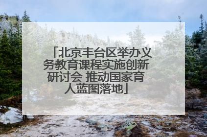 北京丰台区举办义务教育课程实施创新研讨会 推动国家育人蓝图落地