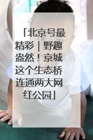 北京号最精彩｜野趣盎然！京城这个生态桥连通两大网红公园