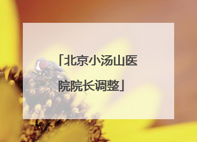 北京小汤山医院院长调整