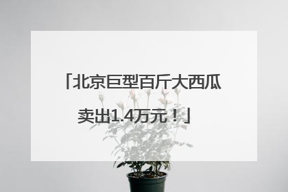 北京巨型百斤大西瓜卖出1.4万元！