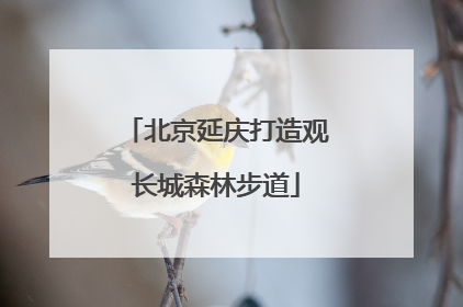 北京延庆打造观长城森林步道