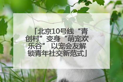 北京10号线“青创村”变身“萌宠欢乐谷” 以宠会友解锁青年社交新范式