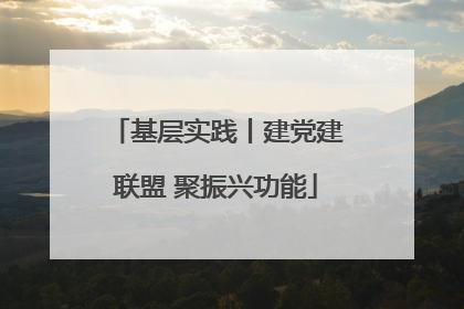 基层实践丨建党建联盟 聚振兴功能
