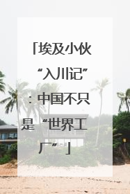 埃及小伙“入川记”：中国不只是“世界工厂”