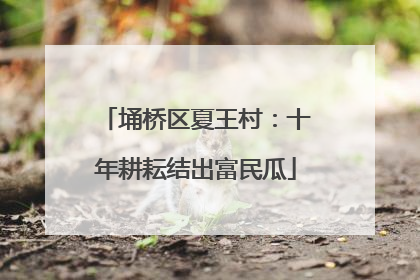 埇桥区夏王村：十年耕耘结出富民瓜