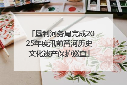 垦利河务局完成2025年度汛前黄河历史文化遗产保护巡查