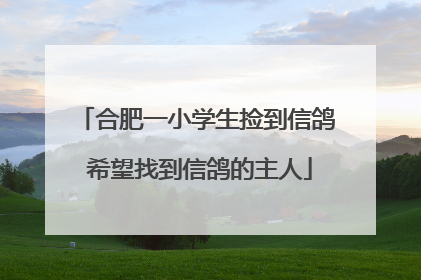 合肥一小学生捡到信鸽 希望找到信鸽的主人