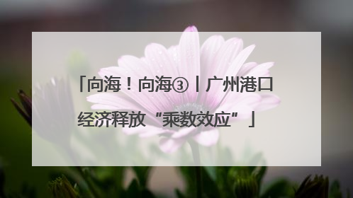 向海！向海③丨广州港口经济释放“乘数效应”
