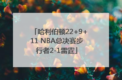 哈利伯顿22+9+11 NBA总决赛步行者2-1雷霆