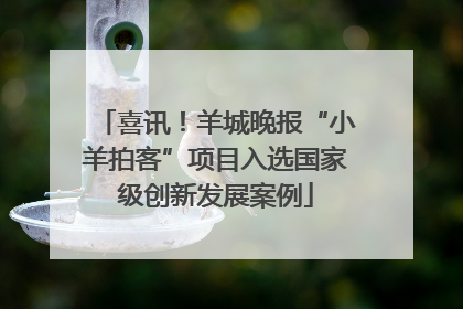 喜讯！羊城晚报“小羊拍客”项目入选国家级创新发展案例