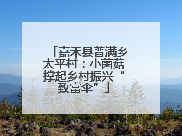 嘉禾县普满乡太平村：小菌菇撑起乡村振兴“致富伞”