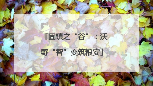 固镇之“谷”：沃野“智”变筑粮安