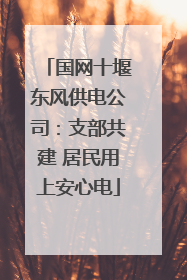 国网十堰东风供电公司：支部共建 居民用上安心电