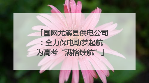 国网尤溪县供电公司：全力保电助梦起航 为高考“满格续航”
