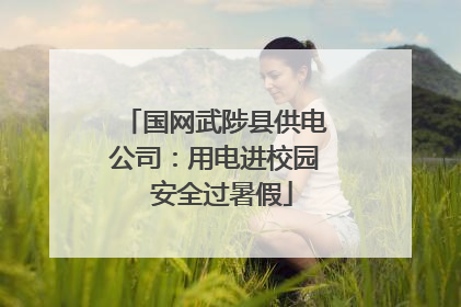 国网武陟县供电公司：用电进校园  安全过暑假