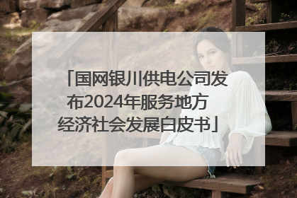 国网银川供电公司发布2024年服务地方经济社会发展白皮书