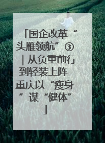 国企改革“头雁领航”③｜从负重前行到轻装上阵 重庆以“瘦身”谋“健体”