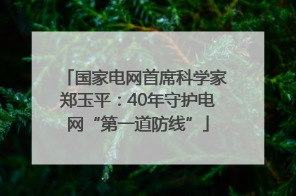 国家电网首席科学家郑玉平：40年守护电网“第一道防线”