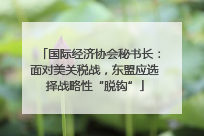 国际经济协会秘书长：面对美关税战，东盟应选择战略性“脱钩”