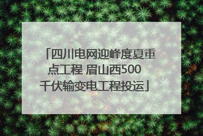 四川电网迎峰度夏重点工程 眉山西500千伏输变电工程投运