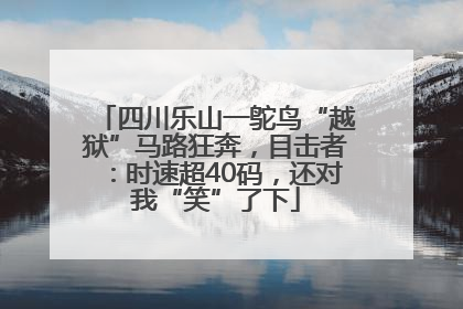 四川乐山一鸵鸟“越狱”马路狂奔，目击者：时速超40码，还对我“笑”了下