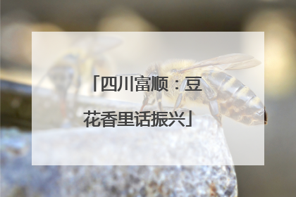 四川富顺：豆花香里话振兴