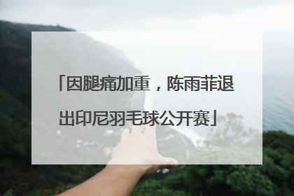 因腿痛加重，陈雨菲退出印尼羽毛球公开赛