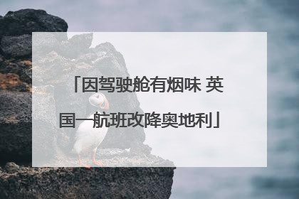 因驾驶舱有烟味 英国一航班改降奥地利