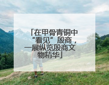 在甲骨青铜中“看见”殷商，一展纵览殷商文物精华