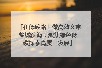 在低碳路上做高效文章 盐城滨海：聚焦绿色低碳探索高质量发展