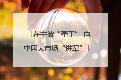 在宁波“牵手” 向中国大市场“进军”