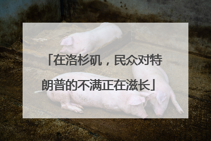 在洛杉矶，民众对特朗普的不满正在滋长