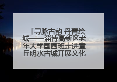 寻脉古韵 丹青绘城——淄博高新区老年大学国画班走进章丘明水古城开展文化研学活动