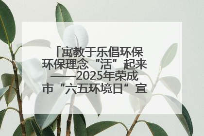 寓教于乐倡环保 环保理念“活”起来——2025年荣成市“六五环境日”宣传活动圆满举行