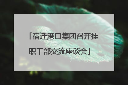 宿迁港口集团召开挂职干部交流座谈会