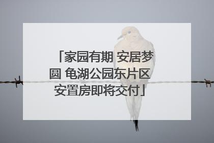 家园有期 安居梦圆 龟湖公园东片区安置房即将交付