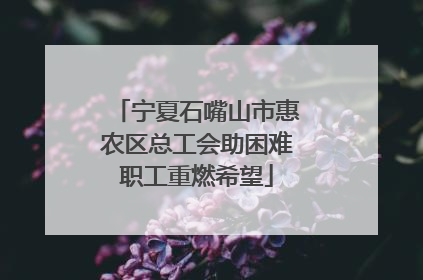 宁夏石嘴山市惠农区总工会助困难职工重燃希望