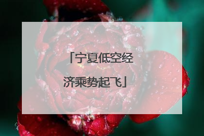 宁夏低空经济乘势起飞