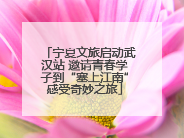 宁夏文旅启动武汉站 邀请青春学子到“塞上江南”感受奇妙之旅