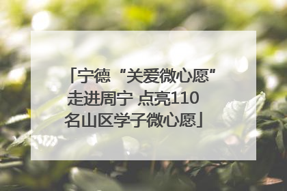 宁德“关爱微心愿”走进周宁 点亮110名山区学子微心愿