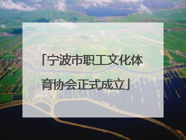 宁波市职工文化体育协会正式成立