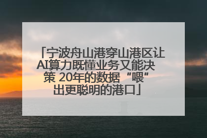 宁波舟山港穿山港区让AI算力既懂业务又能决策 20年的数据“喂”出更聪明的港口