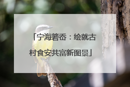宁海箬岙：绘就古村食安共富新图景