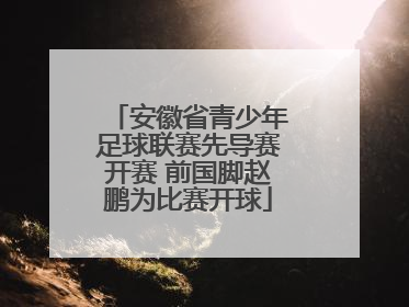安徽省青少年足球联赛先导赛开赛 前国脚赵鹏为比赛开球