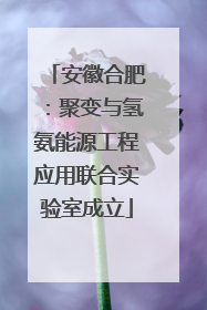 安徽合肥：聚变与氢氨能源工程应用联合实验室成立