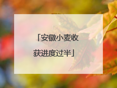 安徽小麦收获进度过半