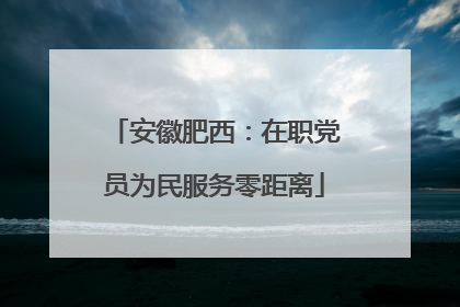 安徽肥西：在职党员为民服务零距离